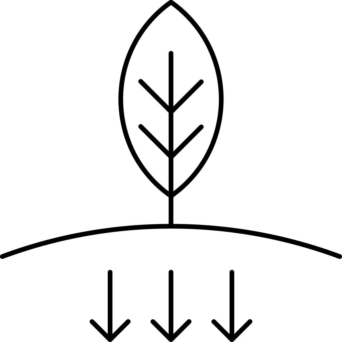 Certified Biodegradeable